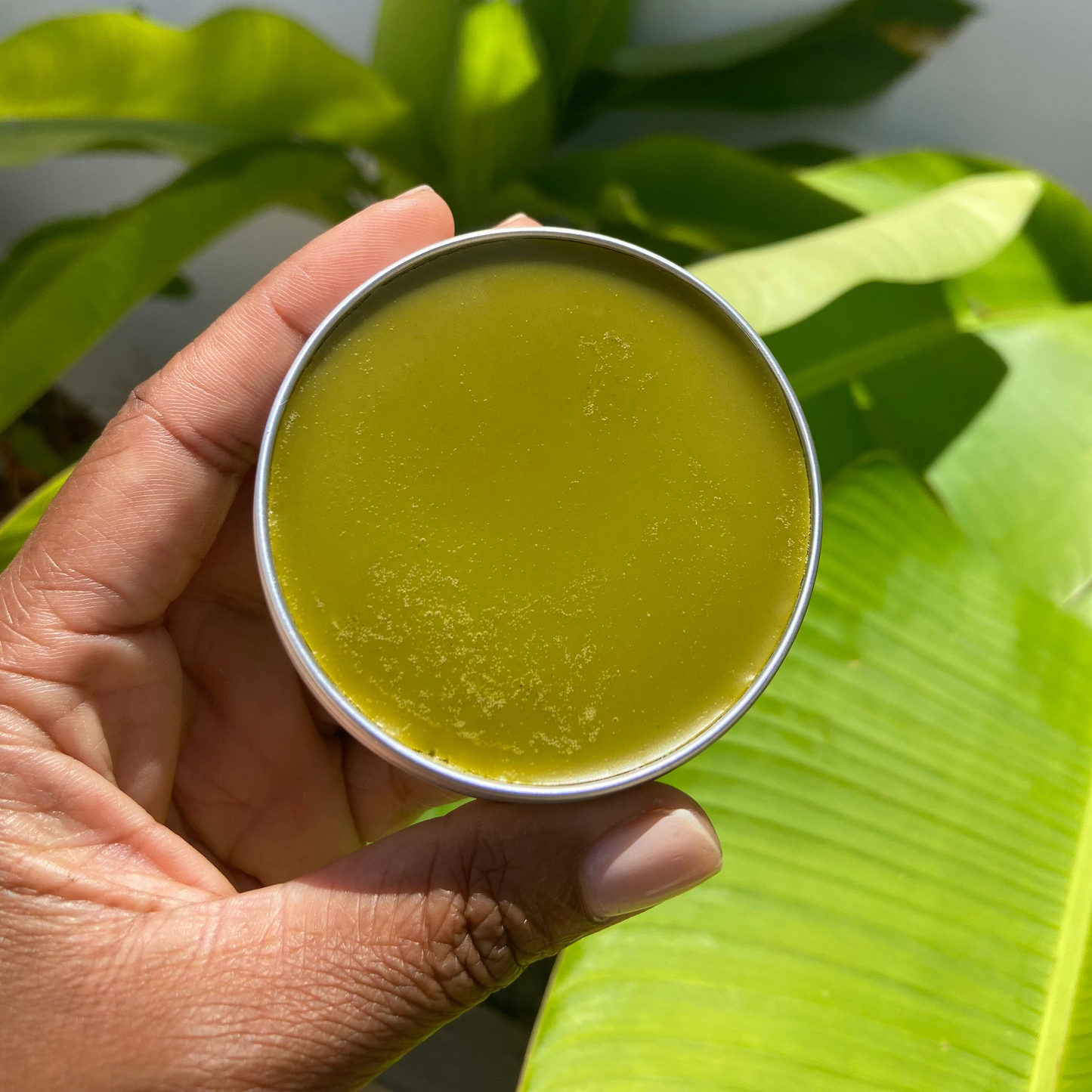 CRISS (Healing Herbal Salve)